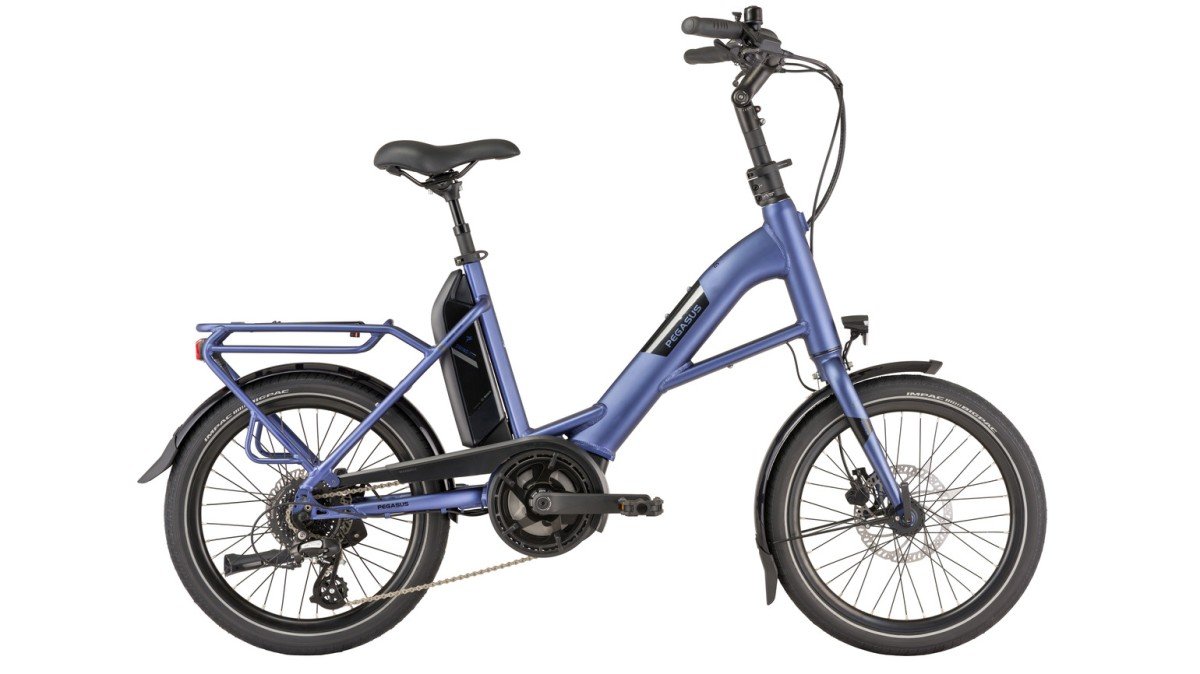 Pegasus PEGASUS Swing E8 Disc 20 Blue Mat 20" 46cm 2025 - Afbeelding 2