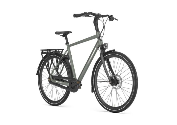 GAZELLE Chamonix C8 HEREN Clay Green Mat 57cm 2024